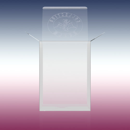 100-Pack Crystal Clear Vinyl Figure Protectors Compatible with 4-Inch Collectibles – Heavy-Duty Display Cases with 0.5mm Thickness for Water, Dust & UV Protection