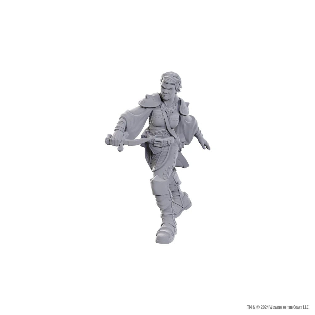 D&D Nolzur's Marvelous Unpainted Miniatures: Swashbuckler