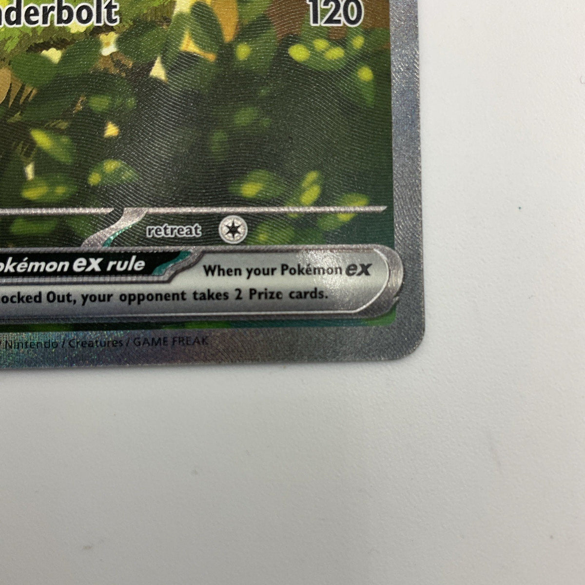 Ascended Heroes Forest Pikachu Ex #276/217 NM SIR Pokemon Card