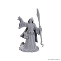 D&D Nolzur's Marvelous Unpainted Miniatures: Star Spawn Larva Mage
