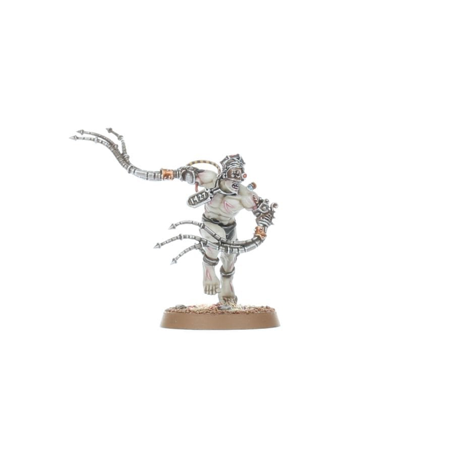 Warhammer 40K Combat Patrol Adepta Sororitas Army Set – 27 Multipart Plastic Miniatures, Sisters of Battle Warhammer 40,000 Starter & Expansion Box with Canoness and Celestian Sacresants